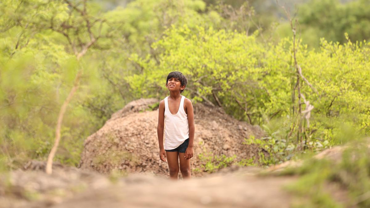 Review of the movie 'But Po': a mild reflection of protecting from the grind